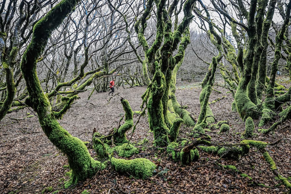 coureur-trail-le-black-black-mountain-trail